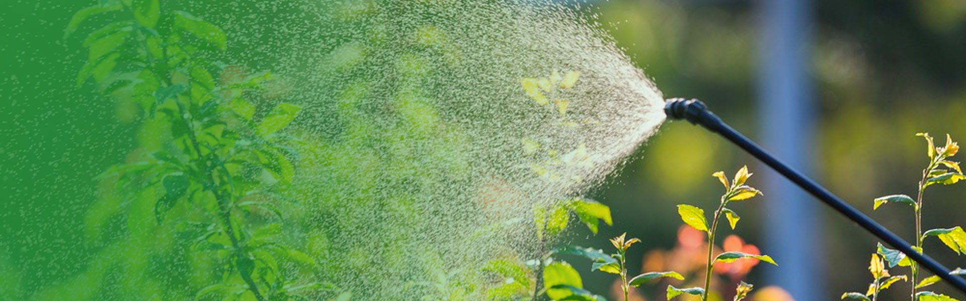 Bir sis üfleyici ile güç püskürtücü arasındaki fark nedir?